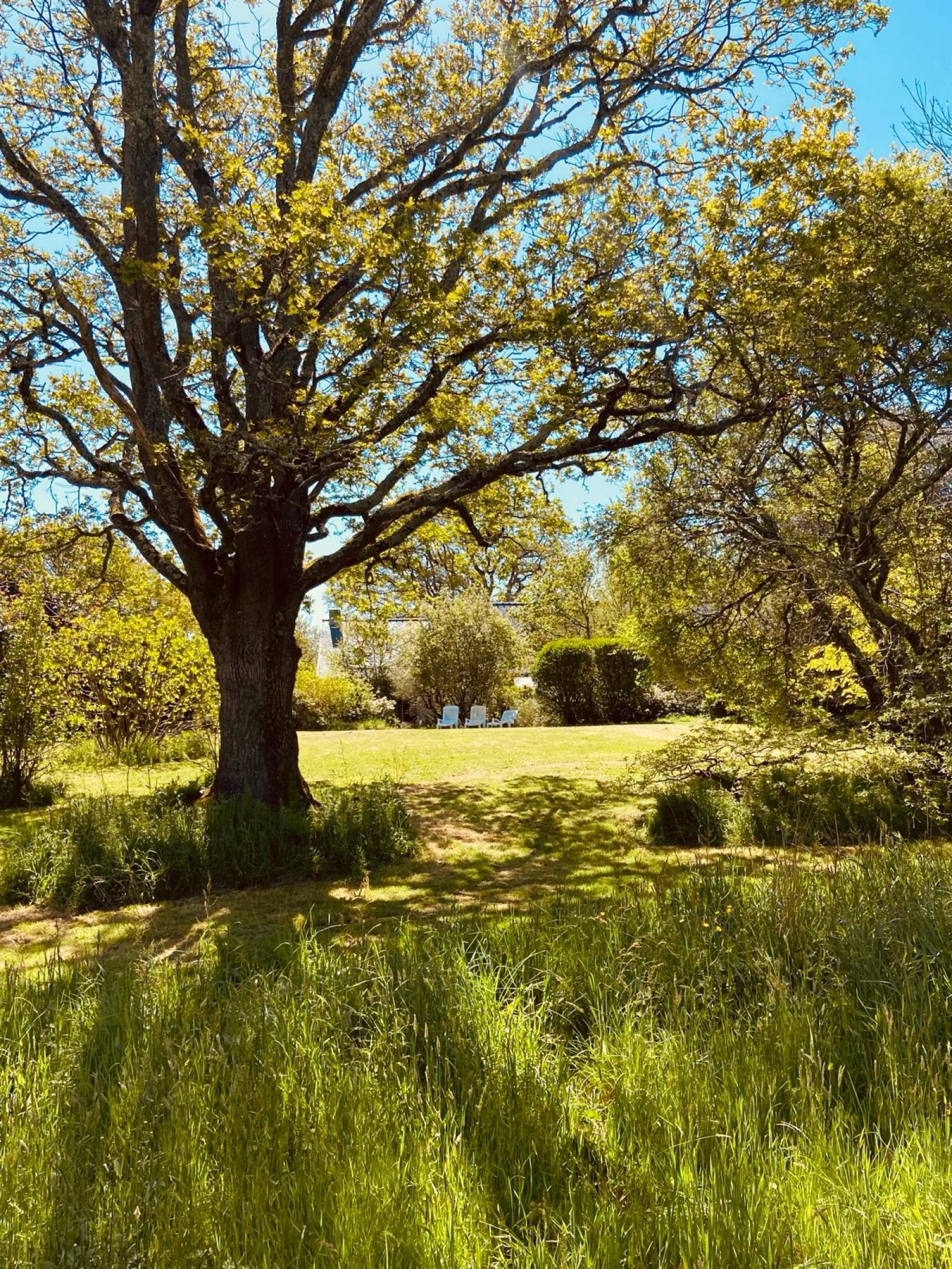 Image_4, Propriete, Guérande, ref :24631B