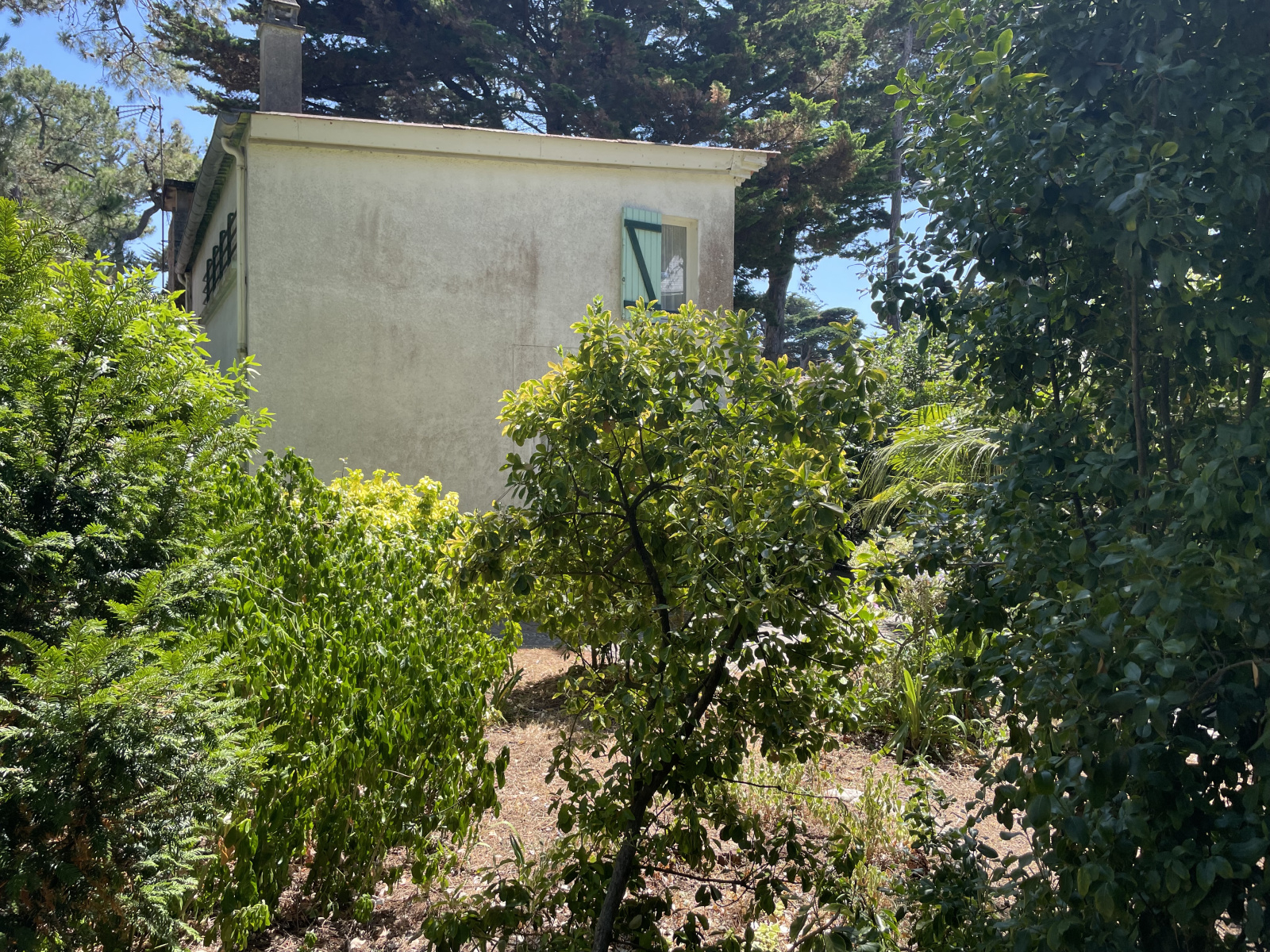 Image_15, Maison, La Baule-Escoublac, ref :18