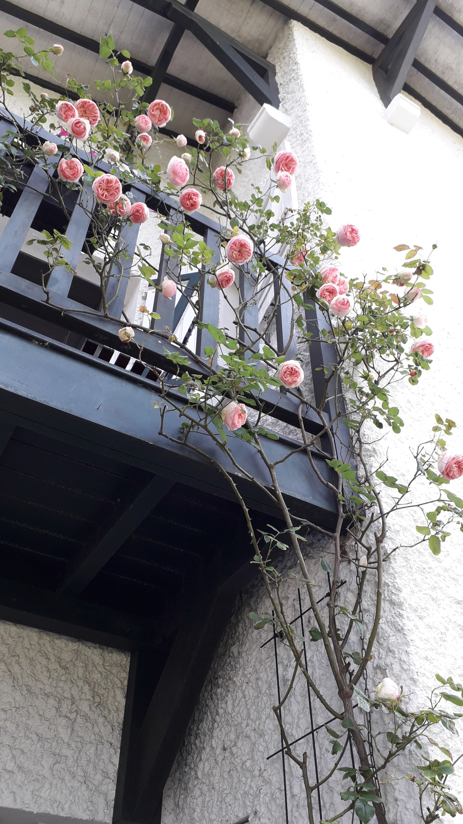 Image_9, Villa, La Baule-Escoublac, ref :25671